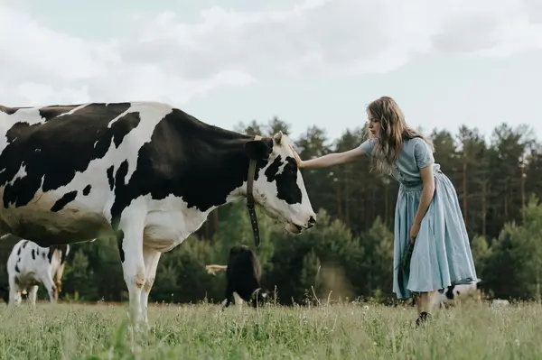 Handle a cow