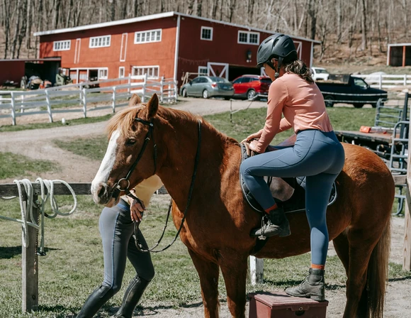 Handle a horse