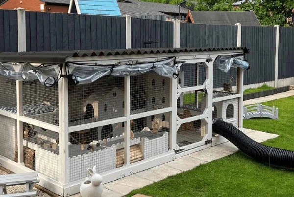 Things-You-Should-Know-Before-Getting-a-Rabbit-Living-Space
