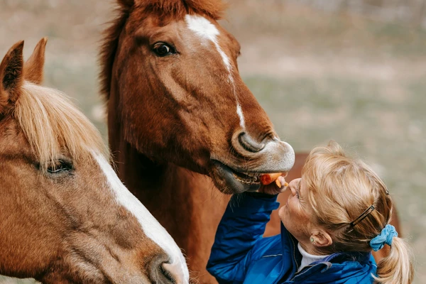 Types of foods that horses eat