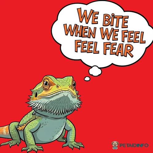 do bearded dragons bite