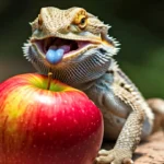 can bearded dragons eat apples